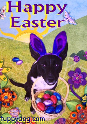[perros pascua (25)[3].jpg]