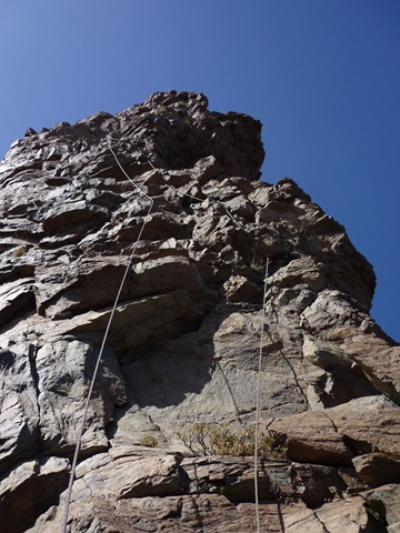 [P1000453[2].jpg]