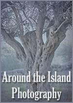 Around the Island Photography