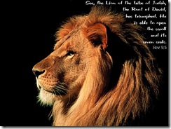 lion-of-tribe-judah_350_1024x768