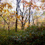 DSC01216.JPG