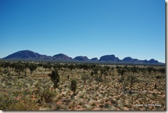 Great view of the Olgas