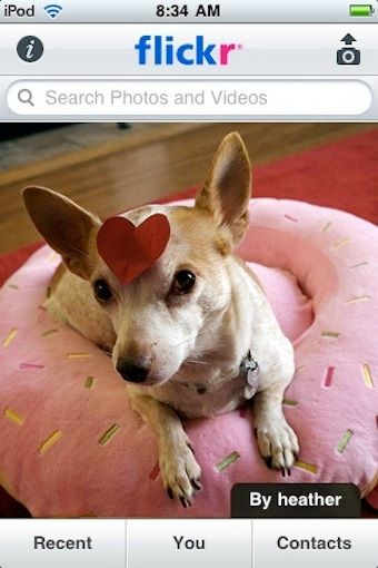 subir imagenes a de iphone a flickr