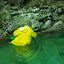 pêche oursin 024.jpg pêche oursin 024.jpg