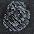 DSC01014.JPG