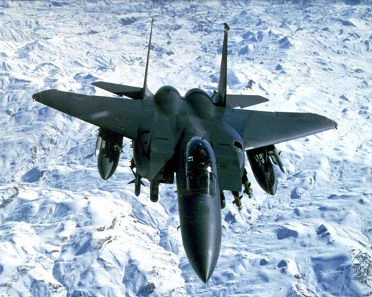 [USAF_F-15E_Strike_Eagle_Iraq_1999[3].jpg]