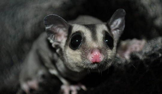 [clip_image011[4].jpg]