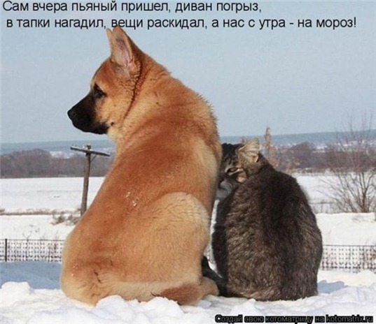 [clip_image063[4].jpg]