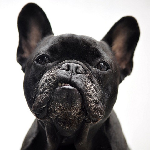 [sunnie look alike[5].jpg]