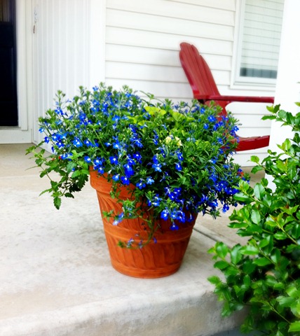 [flowers 2[5].jpg]