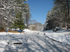 Down the Street