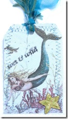 mermaid tag with netting