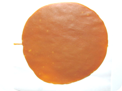 caramel candy apple sheet caramel candy apple sheet