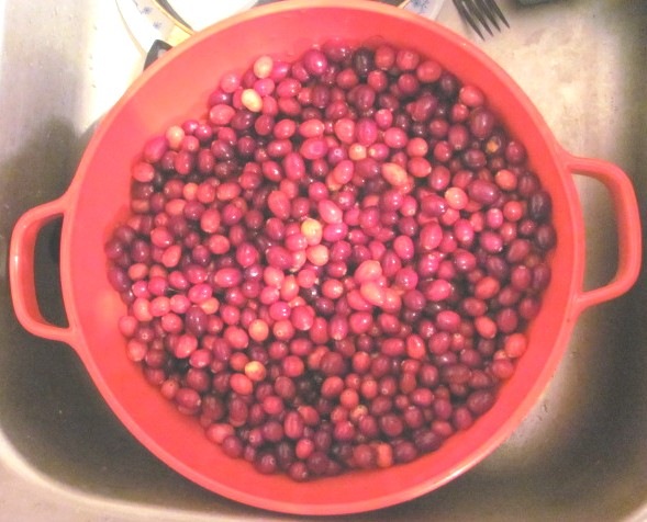 [Jellied sauce starting with cranberries[3].jpg]