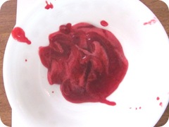 Jellied cranberry sauce foam