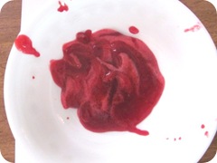 Jellied cranberry sauce foam Jellied cranberry sauce foam