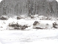 2010 snowstorm 19