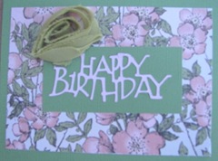 4.24.11 birthday card for Robin 4.24.11 birthday card for Robin