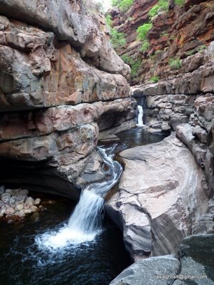[P1060141[5].jpg]