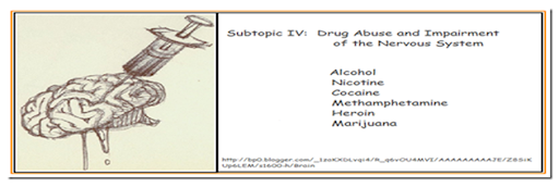 nervous system powerpoint presentation