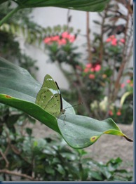 IMG_4940 IMG_4940