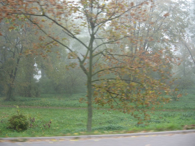 Mgła 9