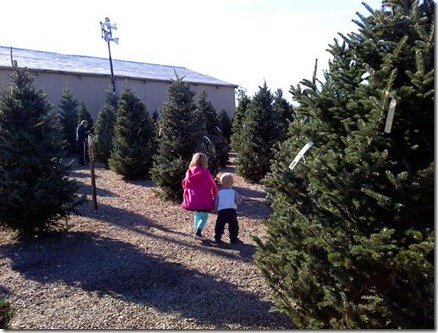 2010-12-12 Picking a Christmas Tree (05)
