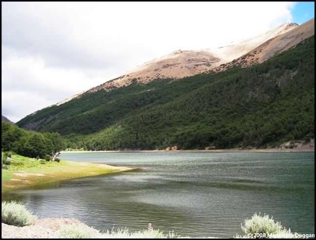 IMG_0890 IMG_0890