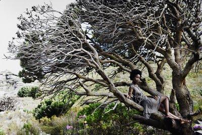 Woman with afro sitting in tree by beach