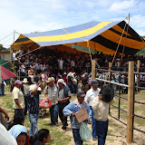 DSC02507.JPG