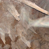 DSC02815.JPG