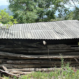 DSC02725.JPG