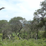 DSC02721.JPG