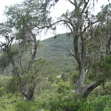 DSC02722.JPG