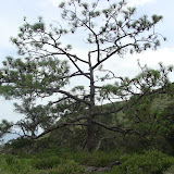 DSC02736.JPG