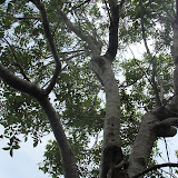 DSC02726.JPG