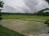 nomad4ever_laos_vang_vien_CIMG0609.jpg