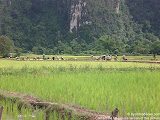 nomad4ever_laos_vang_vien_CIMG0665.jpg