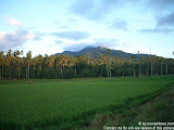 nomad4ever_indonesia_sulawesi_manado_bunaken_CIMG2460.jpg
