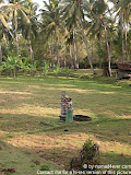 nomad4ever_indonesia_bali_life_CIMG1754.jpg