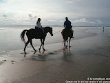 nomad4ever_indonesia_bali_life_CIMG2468.jpg