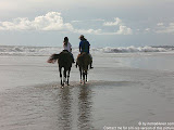 nomad4ever_indonesia_bali_life_CIMG2470.jpg