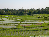 nomad4ever_indonesia_bali_landscape_CIMG1638.jpg