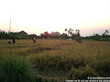 nomad4ever_indonesia_bali_landscape_CIMG1728.jpg