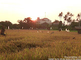 nomad4ever_indonesia_bali_landscape_CIMG1730.jpg