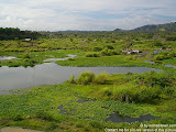 nomad4ever_indonesia_bali_landscape_CIMG1984.jpg
