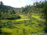 nomad4ever_indonesia_bali_landscape_CIMG1921.jpg