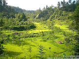 nomad4ever_indonesia_bali_landscape_CIMG1922.jpg