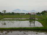 nomad4ever_indonesia_bali_landscape_CIMG2100.jpg