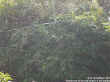 nomad4ever_indonesia_bali_landscape_CIMG2367.jpg